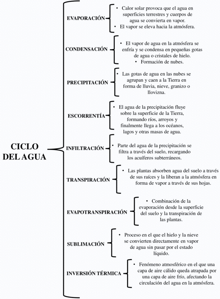 Cuadros sinópticos del Ciclo del Agua | ⬇️ Descarga GRATIS