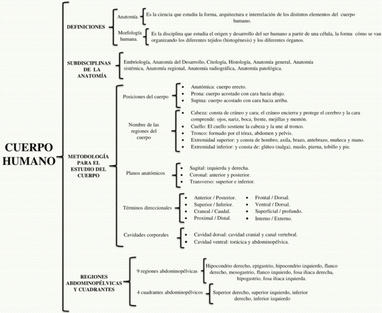 Cuadros sinópticos del Cuerpo Humano 【Descargar】
