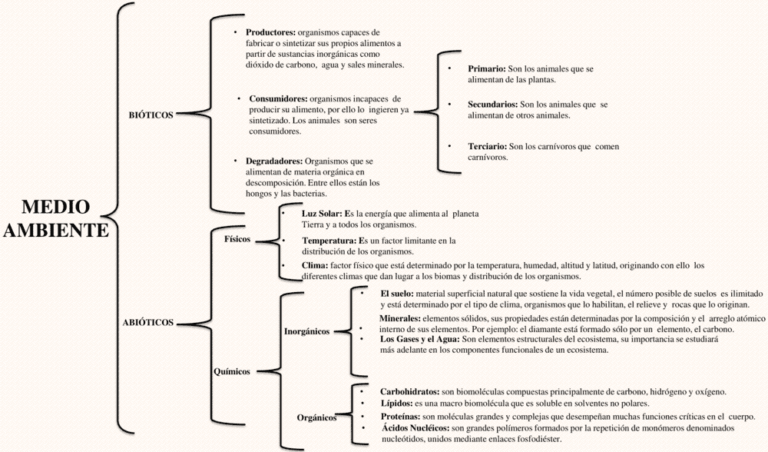 Cuadros sinópticos del Medio Ambiente 【Descargar】